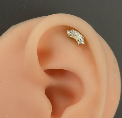 Titanium Earring 806