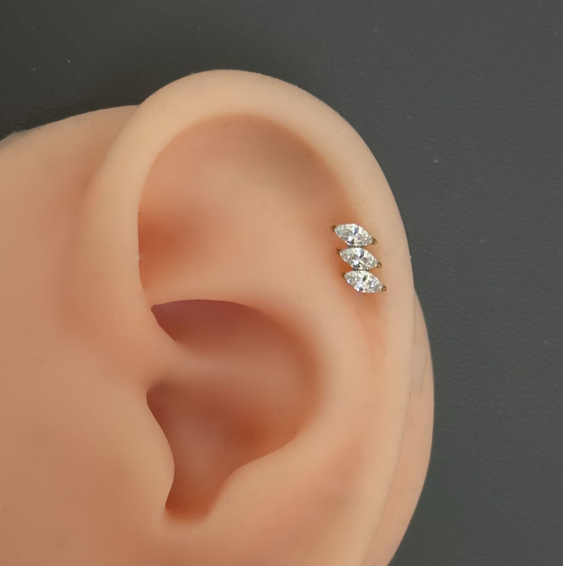 Titanium Earring 802