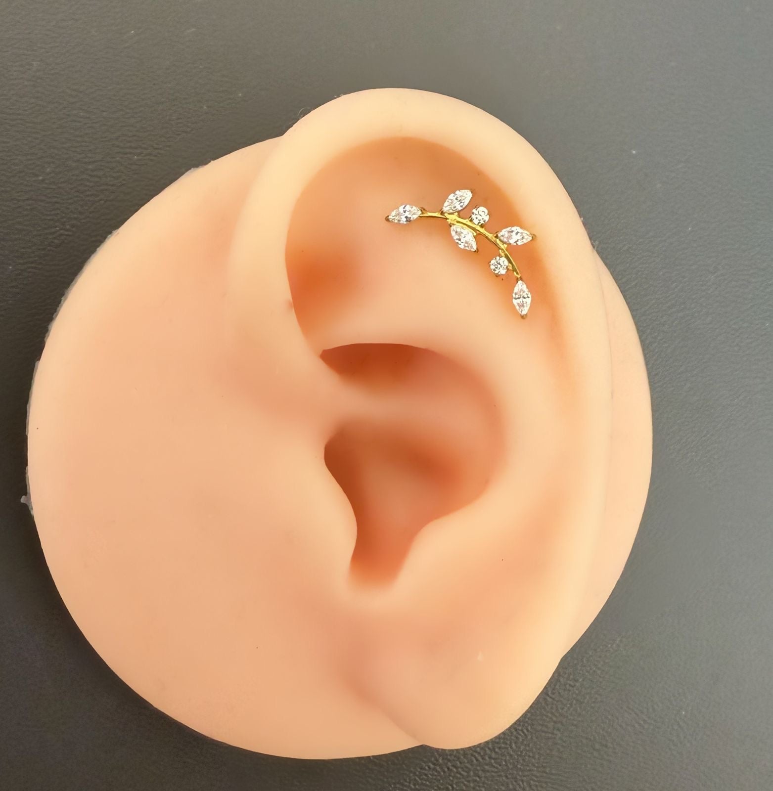 Titanium Earring 796