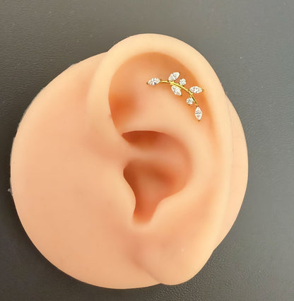 Titanium Earring 796