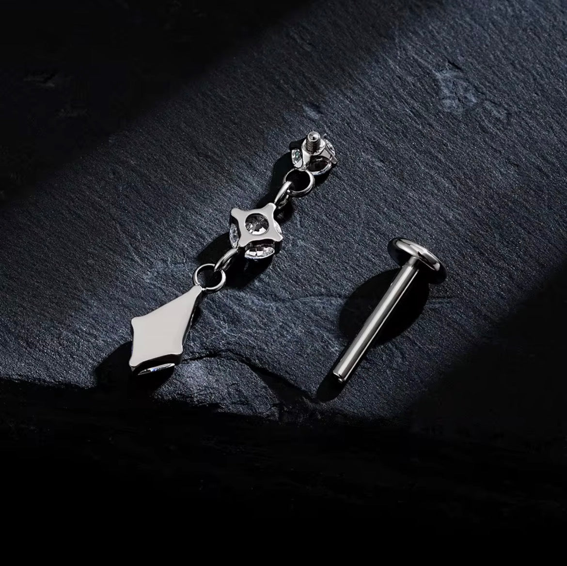Titanium Earring 814