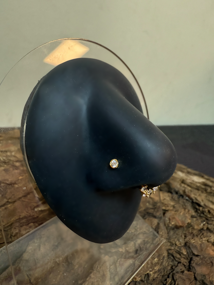 Gold Nose Stud