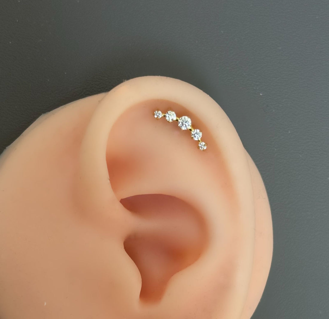 Titanium Earring 809