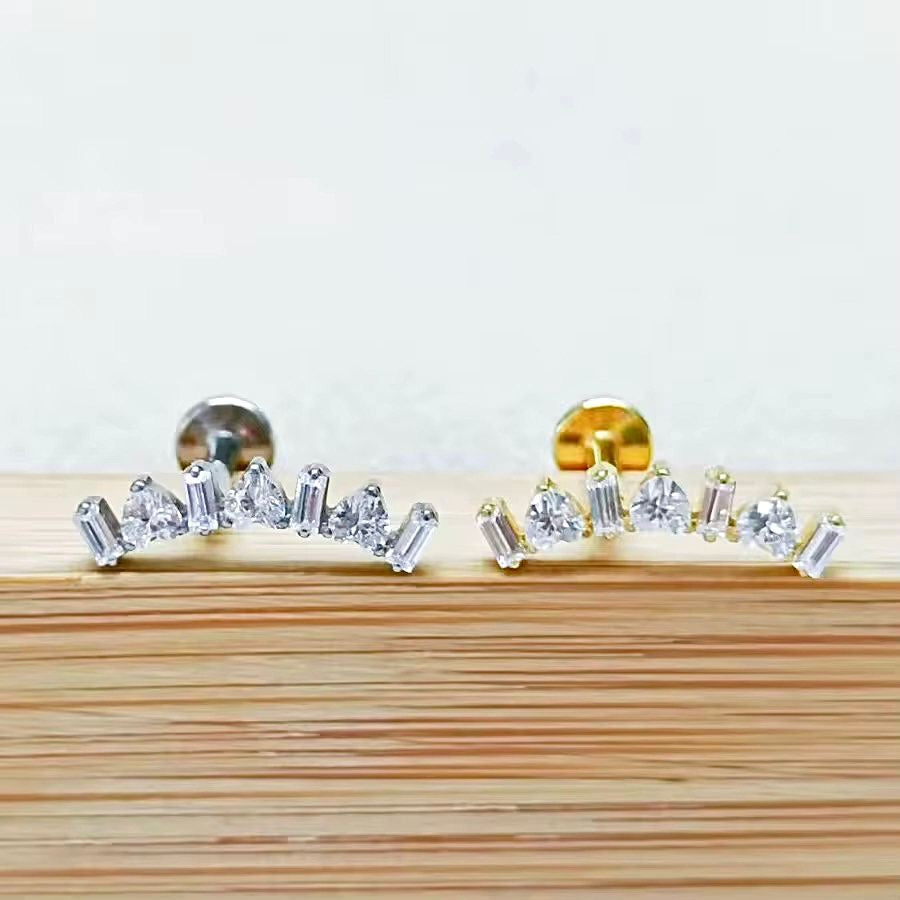 Titanium Earring 799