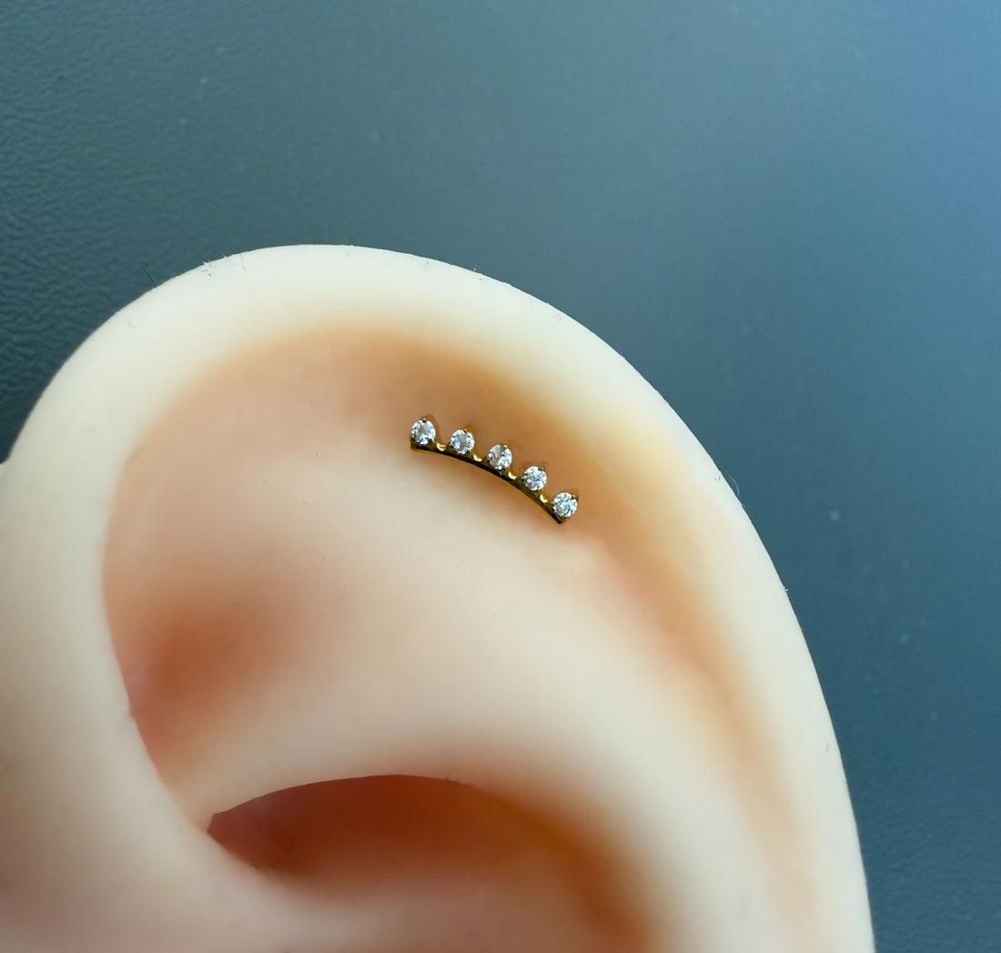 Titanium Earring 810