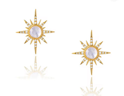 Titanium Earring 764