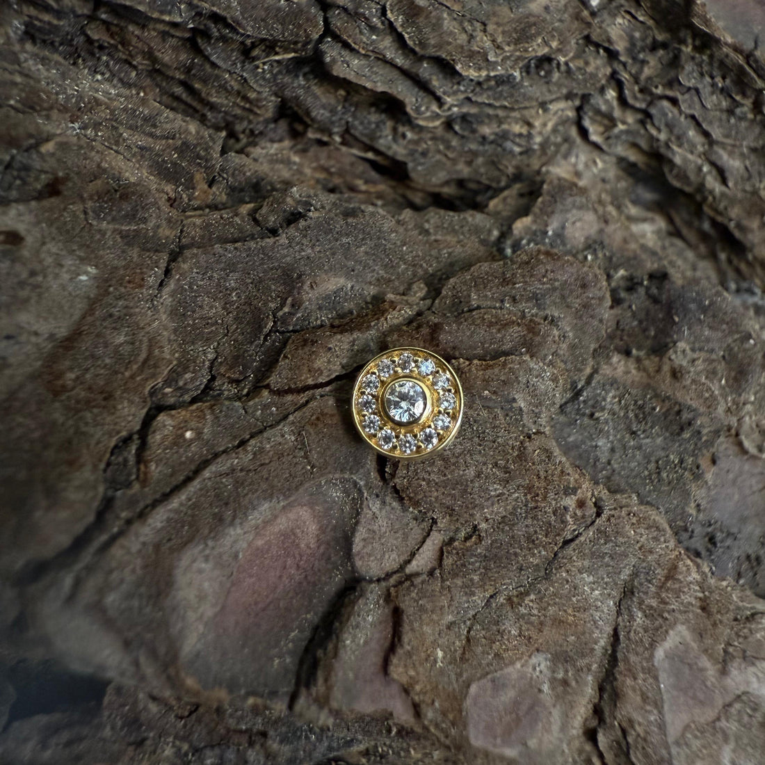 Gold Icy Solstice Dermal Top