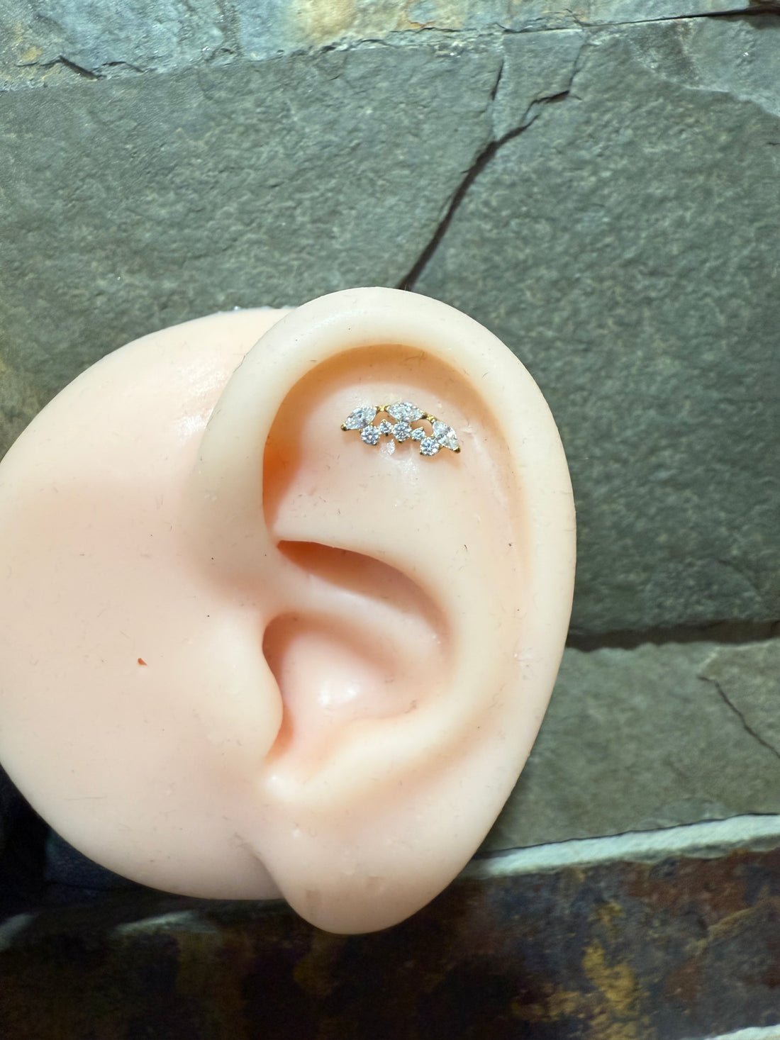 Titanium Earring 490