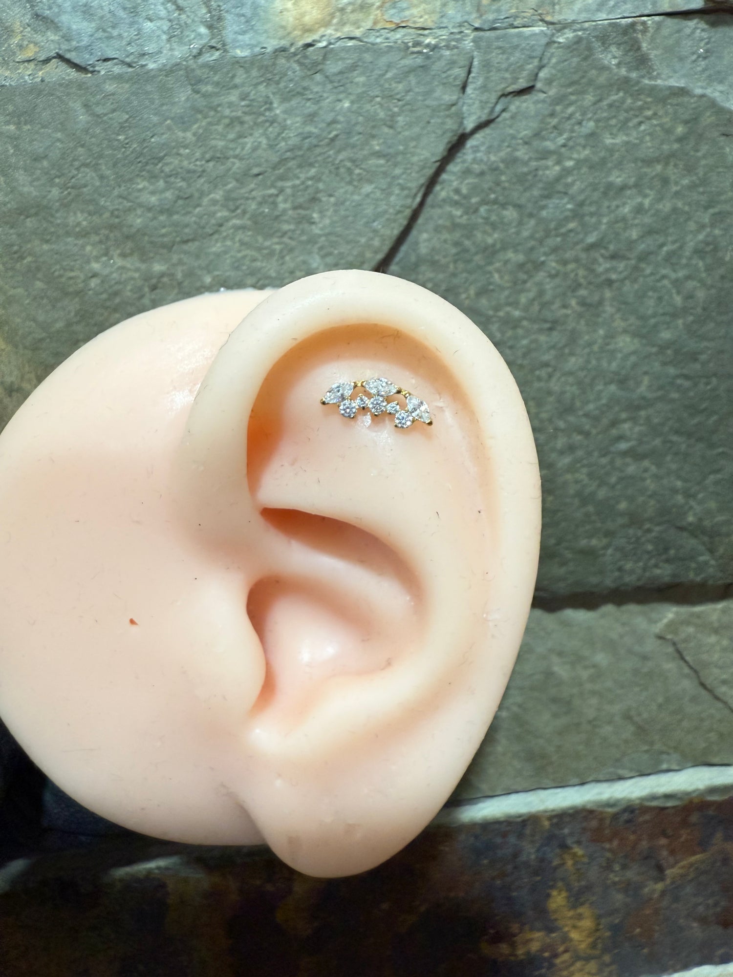Titanium Earring 490