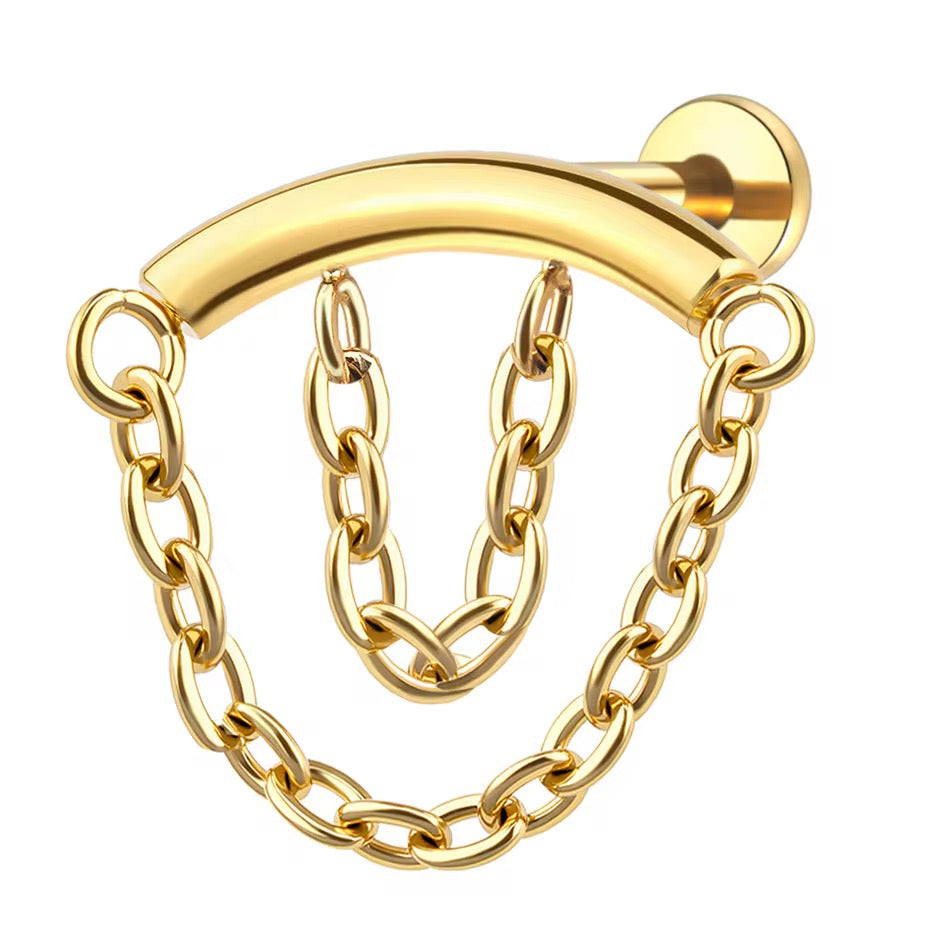Titanium Earring 817