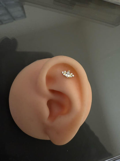 Titanium Earring 792