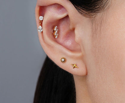 Titanium Earring 791