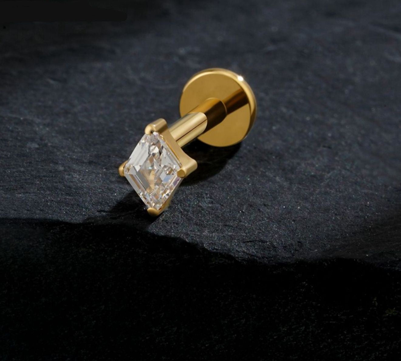 Titanium Earring 778