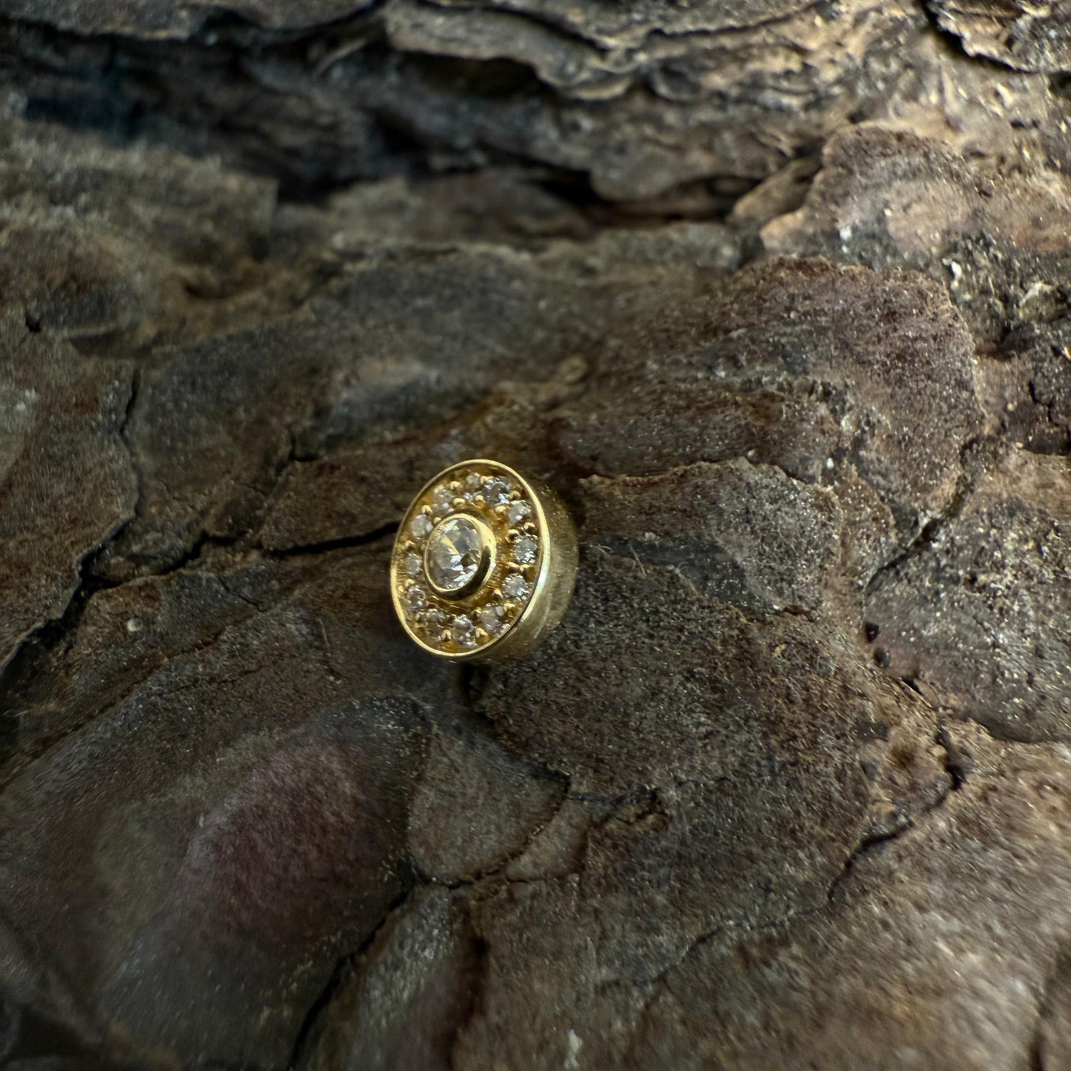 Gold Icy Solstice Dermal Top