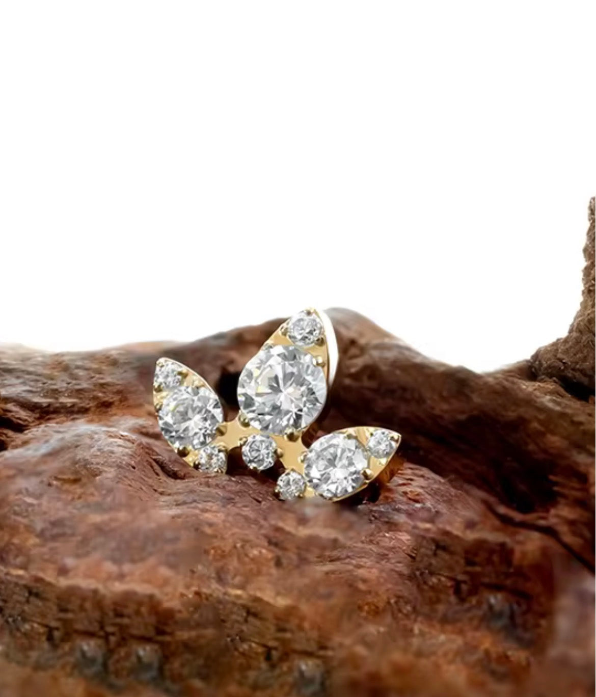 Titanium Earring 813