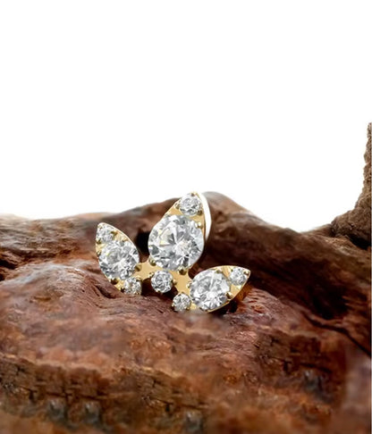 Titanium Earring 813