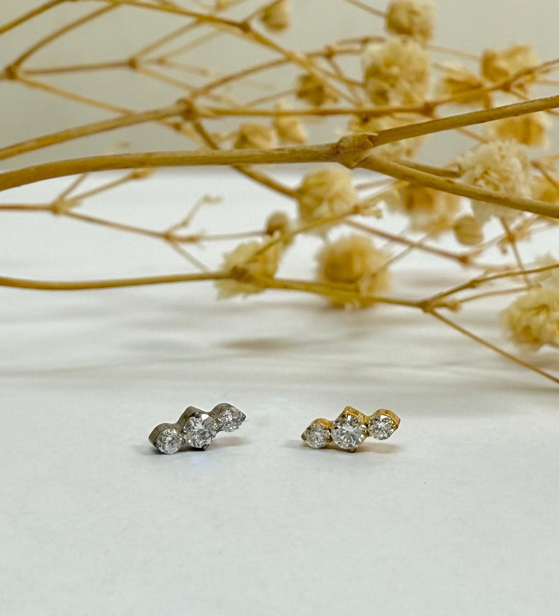 Titanium Earring 759