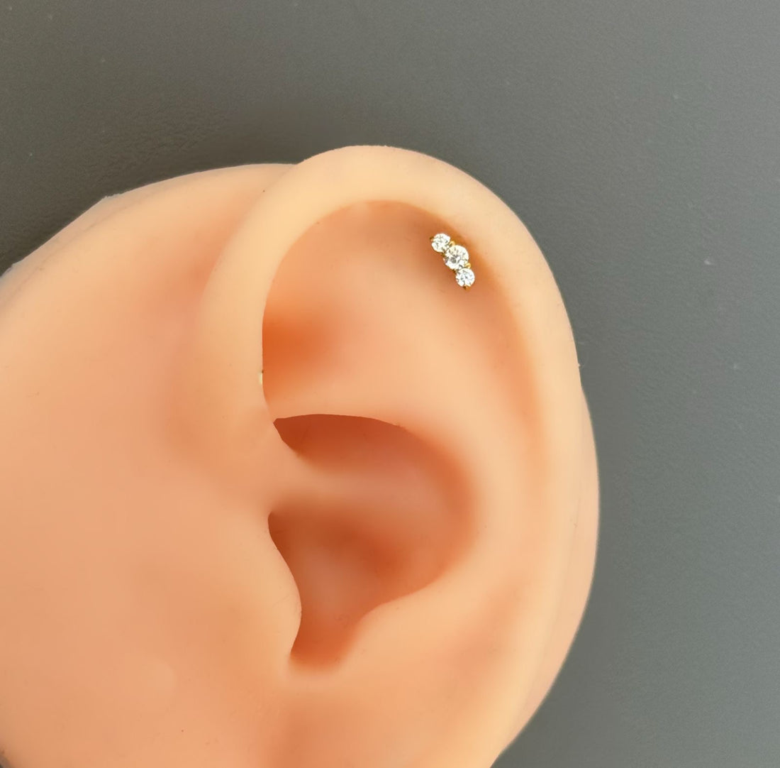 Titanium Earring 805