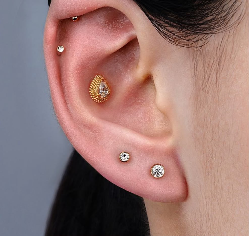 Titanium Earring 819