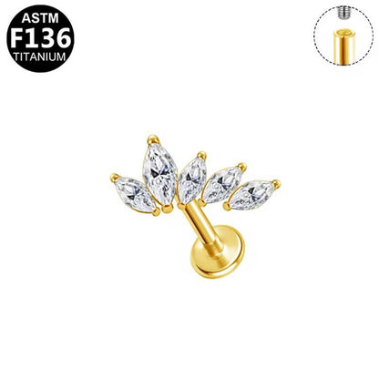 Titanium Earring 773