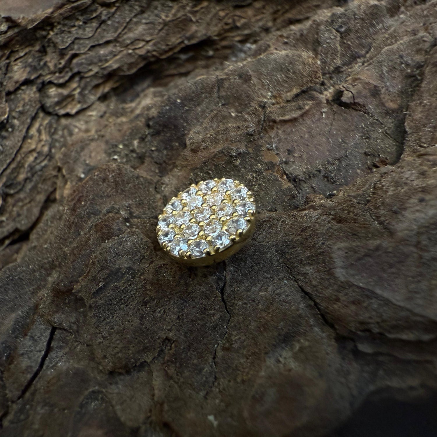 Gold Guilded Mosaic Dermal Top