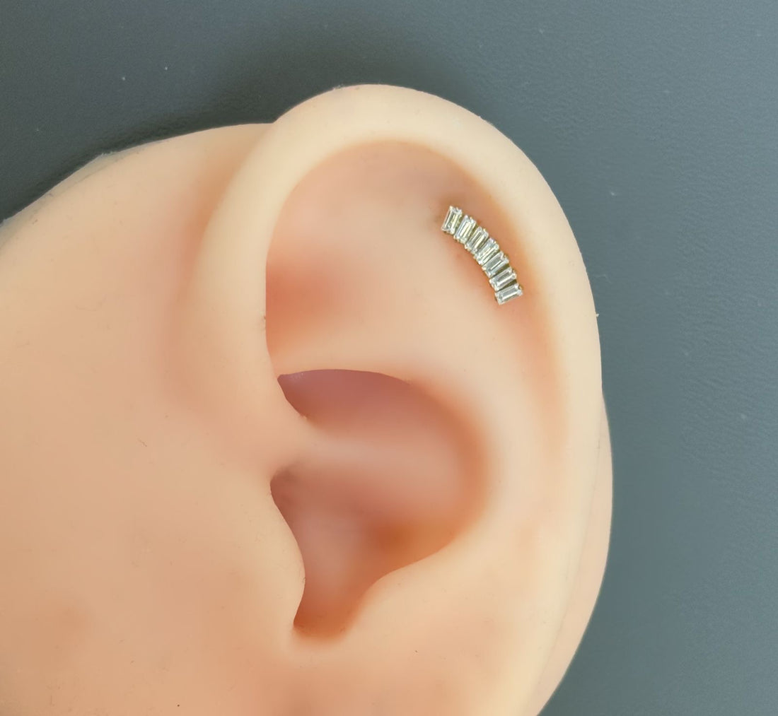 Titanium Earring 804