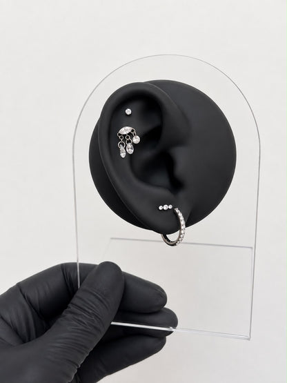 Titanium Earring 833