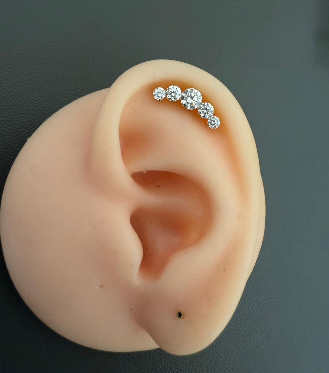 Titanium Earring 784