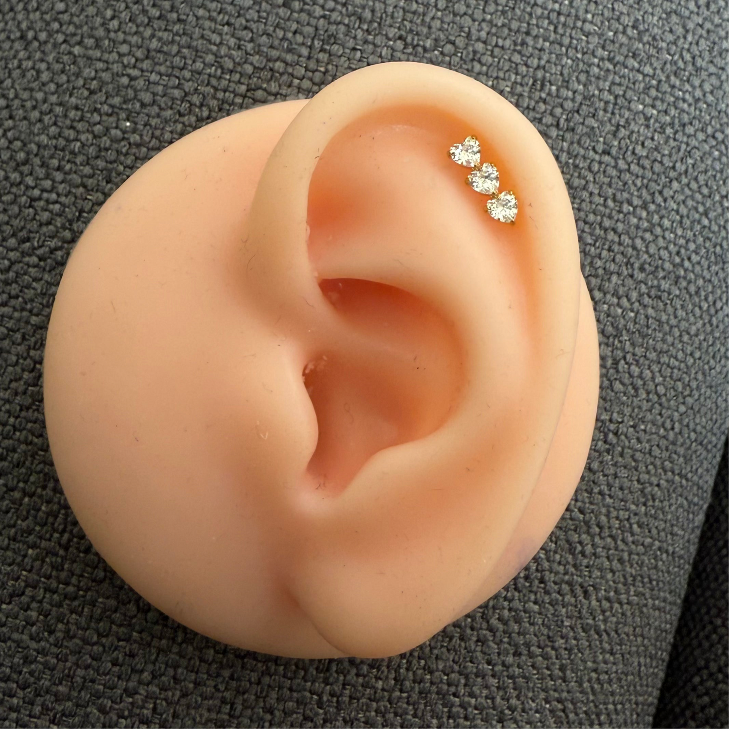 Titanium Earring 772