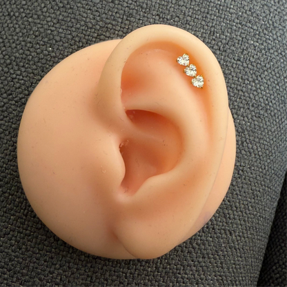 Titanium Earring 772