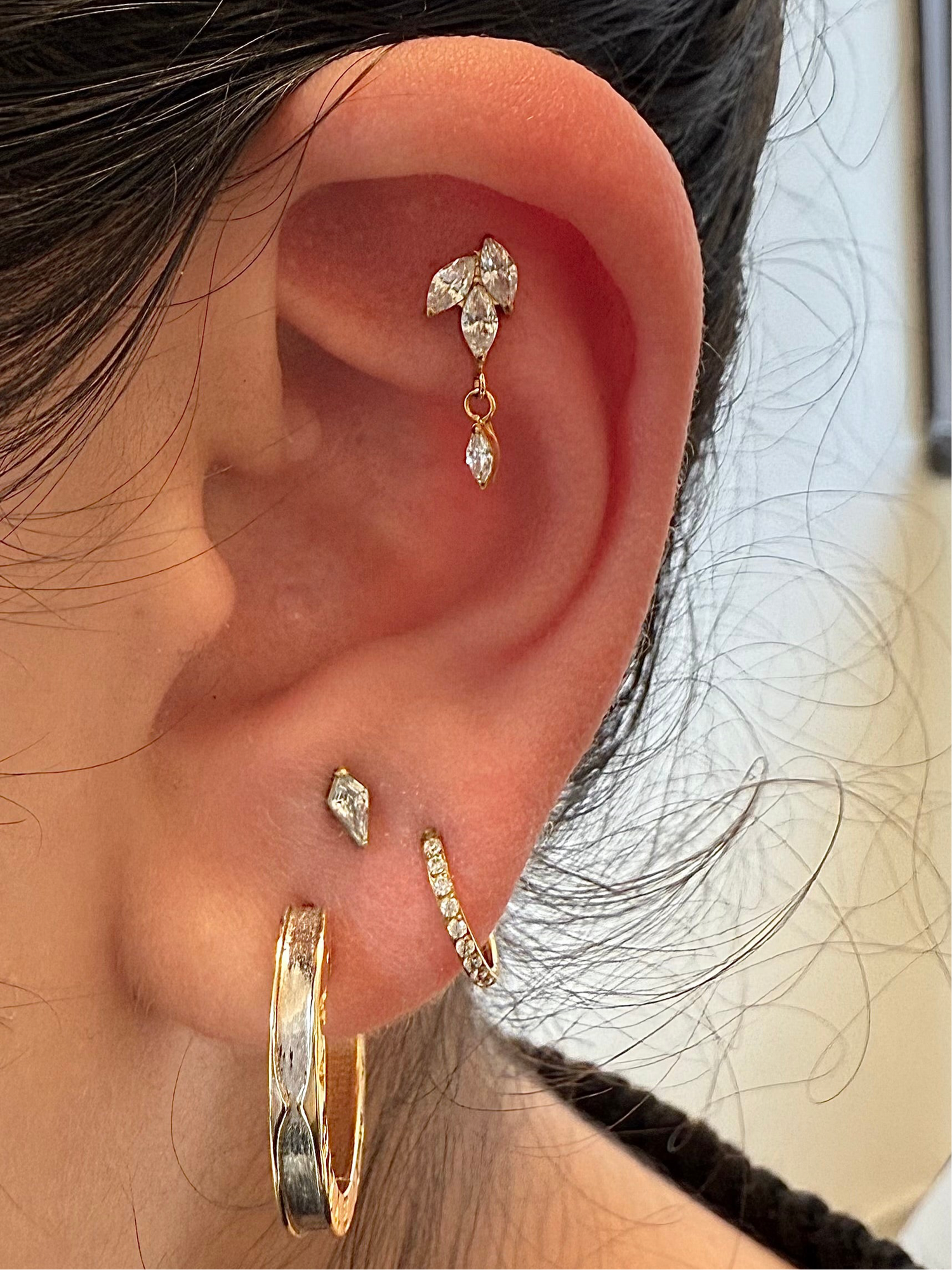 Titanium Earring 455