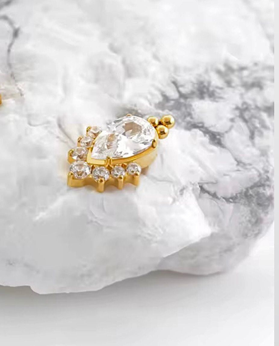 Titanium Earring 794