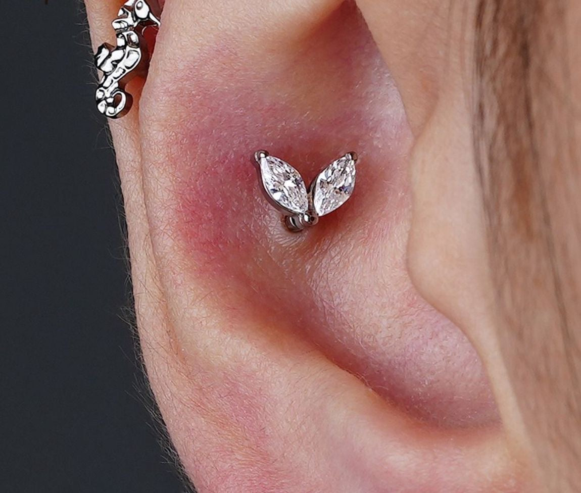 Titanium Earring 790