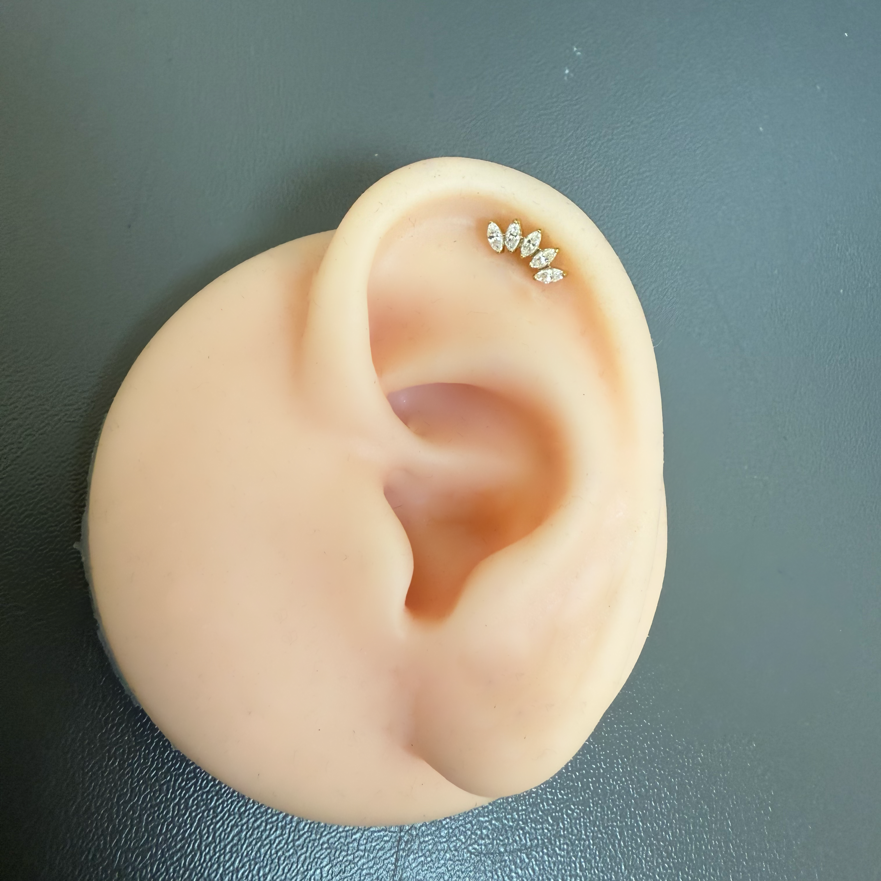 Titanium Earring 788
