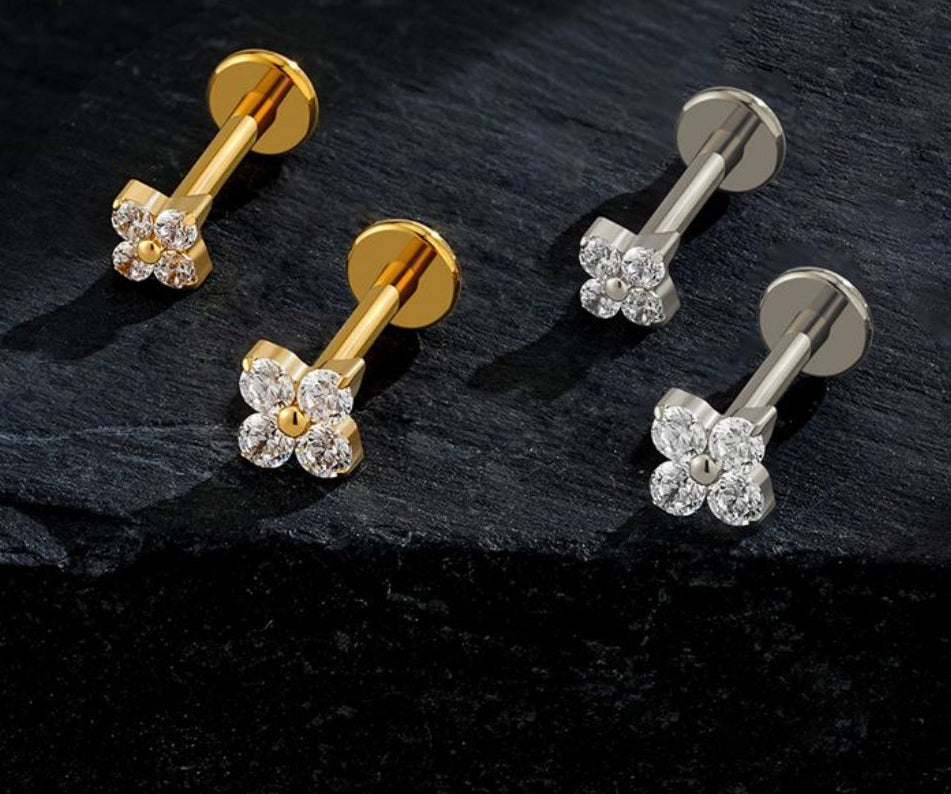 Titanium Earring 170