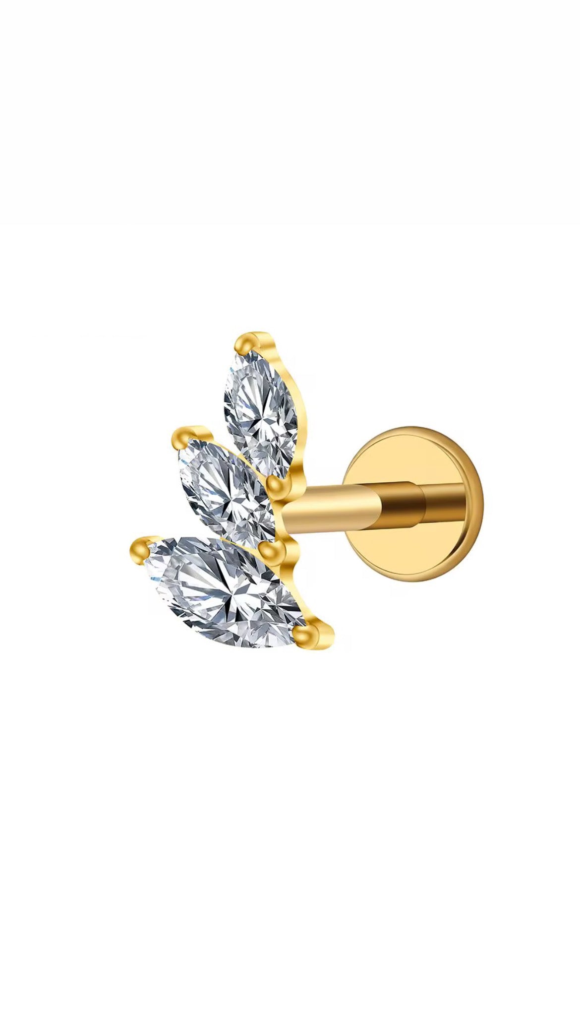 Titanium Earring 789