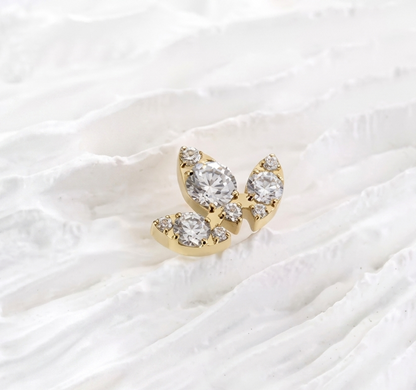 Titanium Earring 813