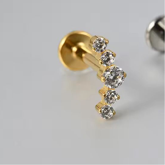 Titanium Earring 775