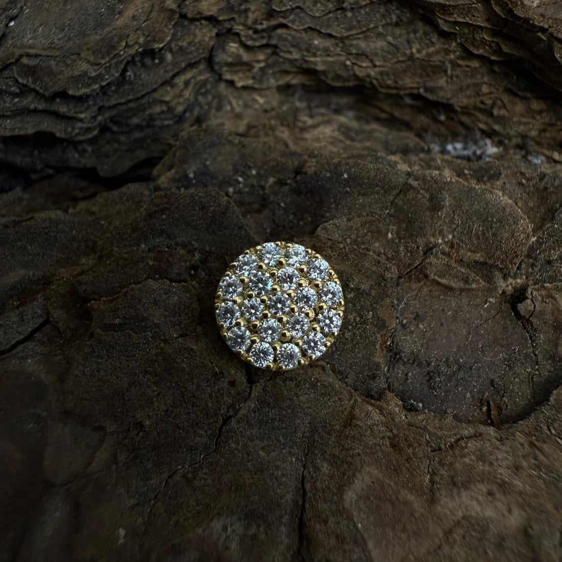 Gold Guilded Mosaic Dermal Top