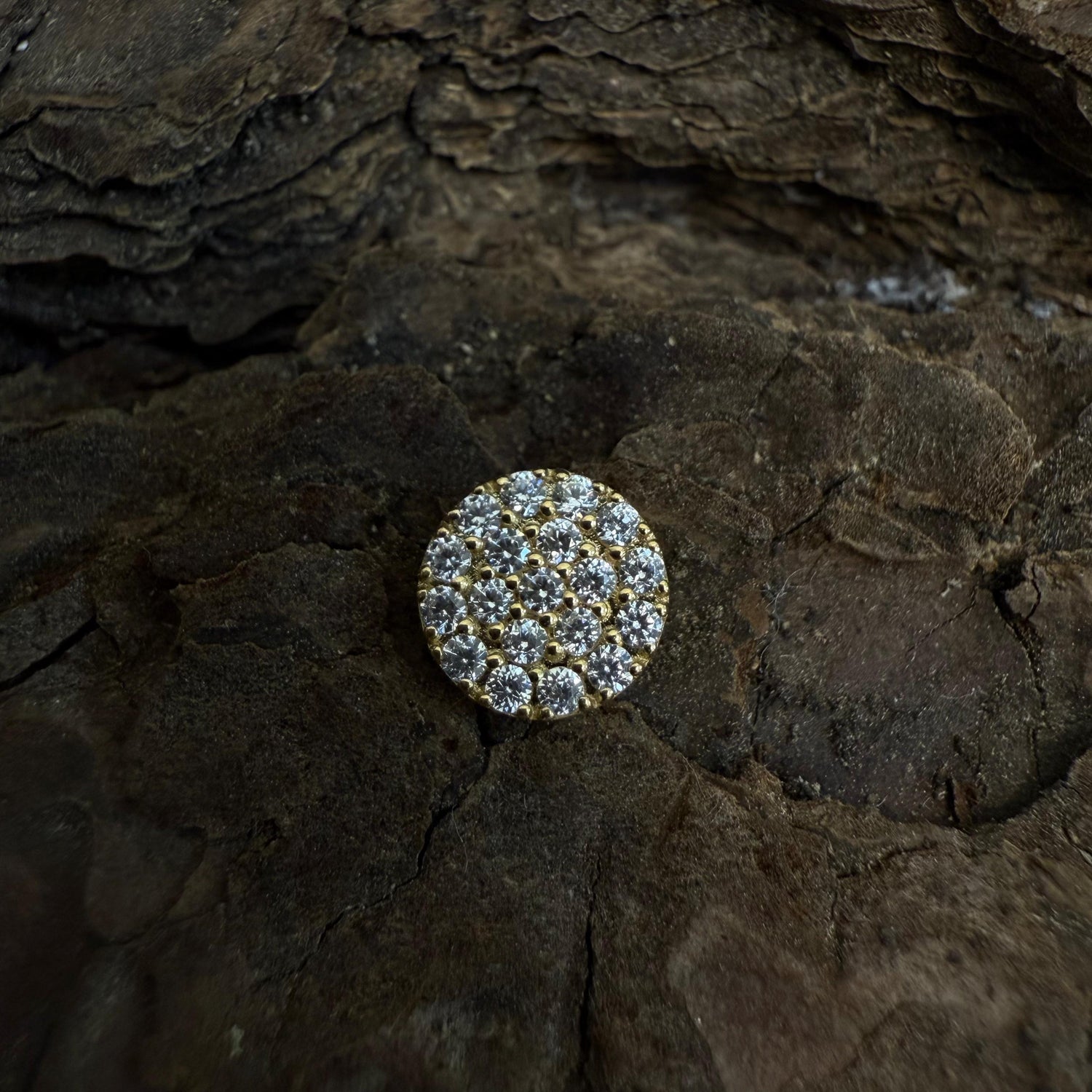 Gold Guilded Mosaic Dermal Top