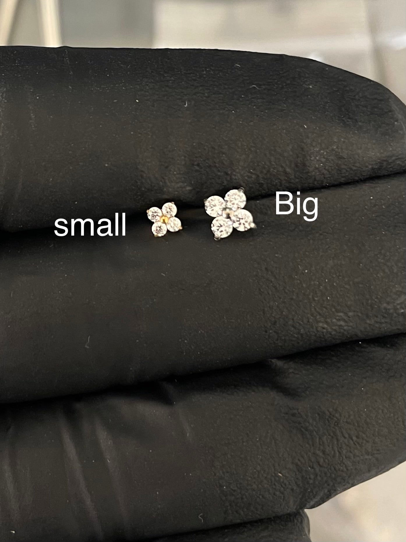 Titanium Earring 170