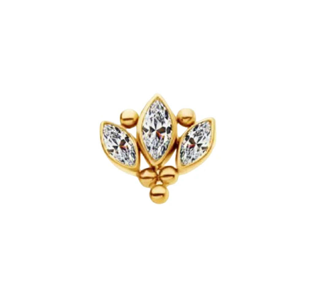 Titanium Earring 769