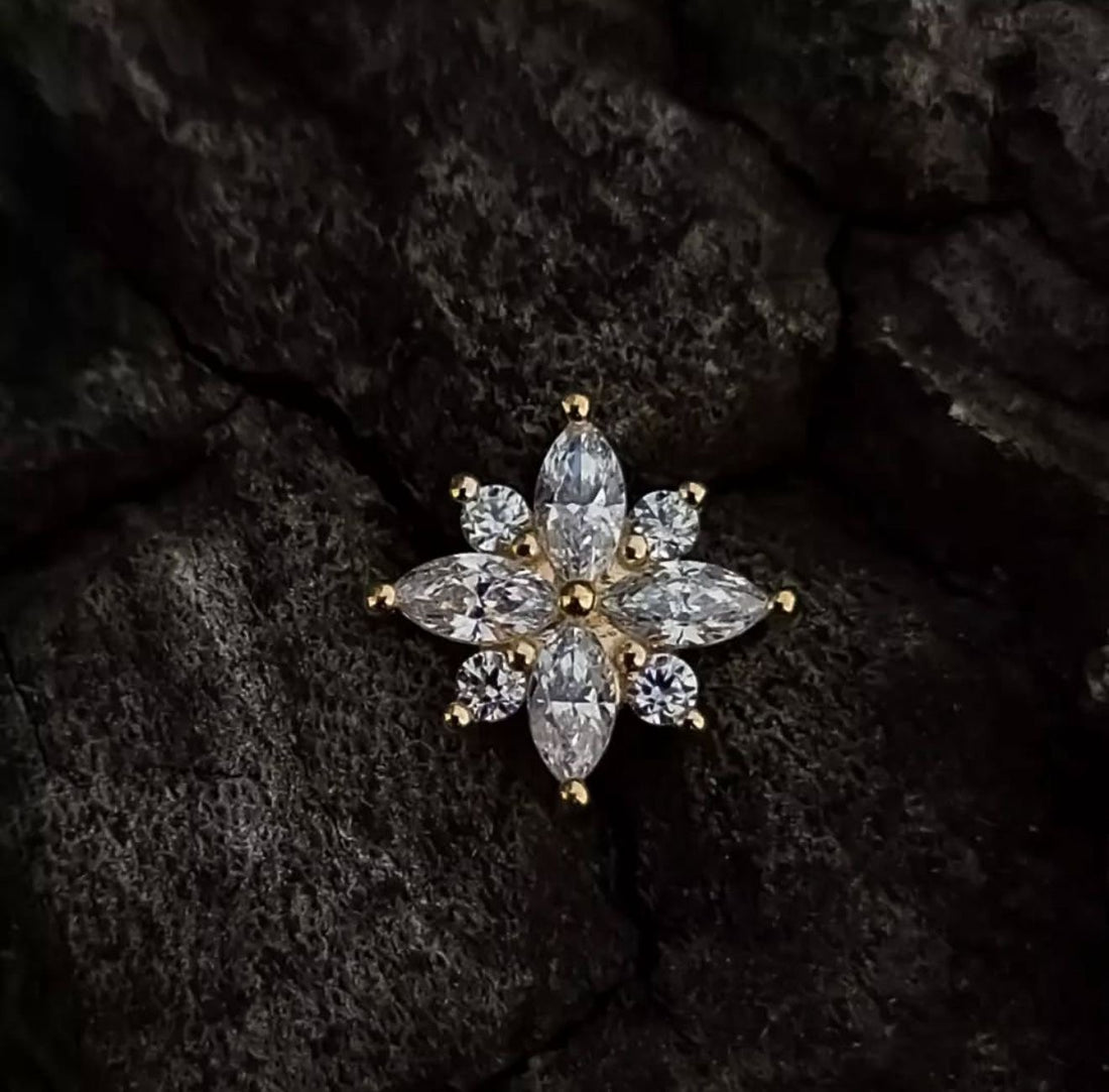 Gold Stellata Cluster Dermal Top