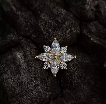 Gold Stellata Cluster Dermal Top