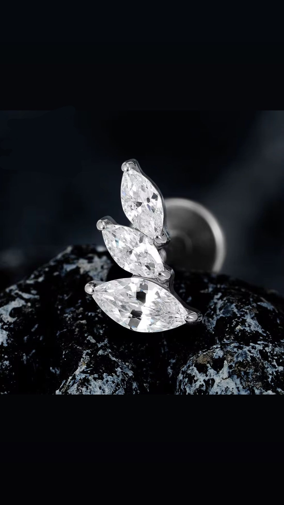 Titanium Earring 789