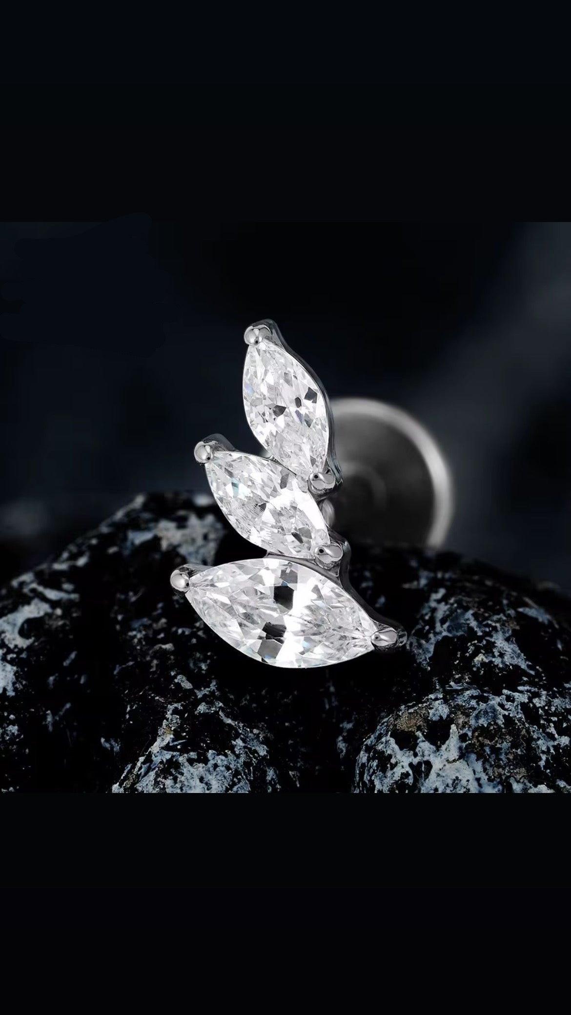 Titanium Earring 789