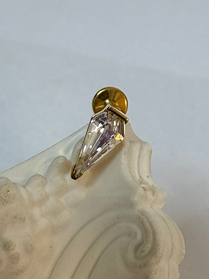 Titanium Earring 752