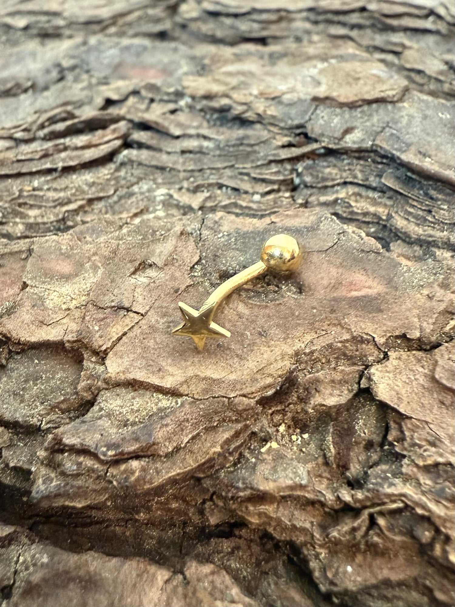 Golden Starry Curve