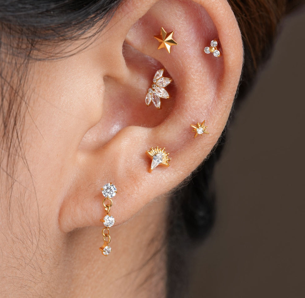 Titanium earring 555