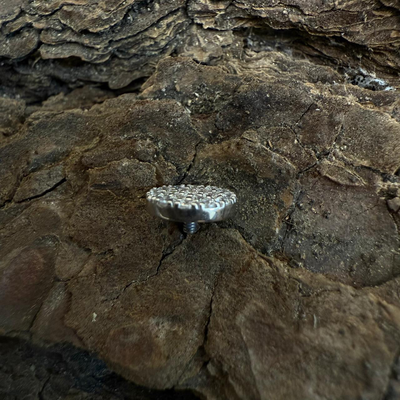 White Gold Guilded Mosaic Dermal Top